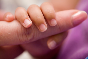 Image showing Baby hand