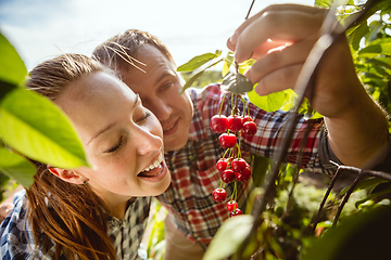 Image showing Young and happy farmer\'s couple at their garden in sunny day