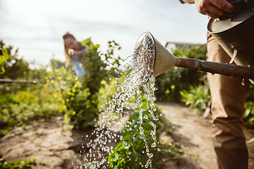 Image showing Young and happy farmer\'s couple at their garden in sunny day