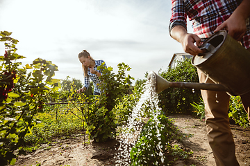 Image showing Young and happy farmer\'s couple at their garden in sunny day