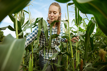 Image showing Young farmer working at his garden in sunny day