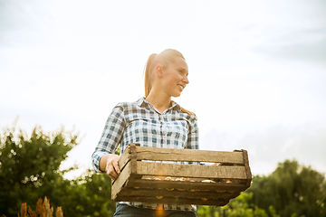 Image showing Young farmer working at his garden in sunny day