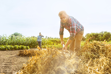 Image showing Young and happy farmer\'s couple at their garden in sunny day