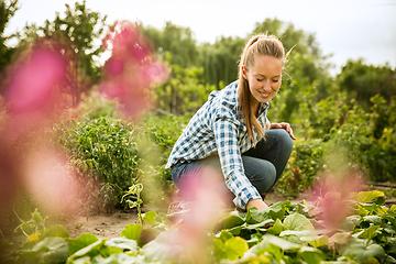 Image showing Young farmer working at his garden in sunny day