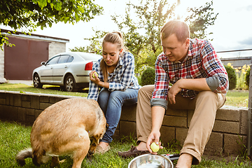 Image showing Young and happy farmer\'s couple at their garden in sunny day