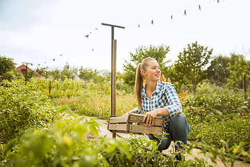 Image showing Young farmer working at his garden in sunny day