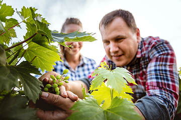 Image showing Young and happy farmer\'s couple at their garden in sunny day