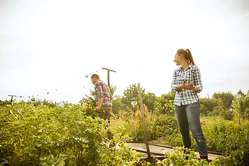 Image showing Young and happy farmer\'s couple at their garden in sunny day