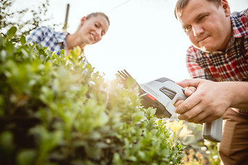 Image showing Young and happy farmer\'s couple at their garden in sunny day