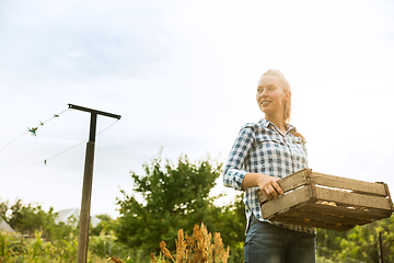 Image showing Young farmer working at his garden in sunny day