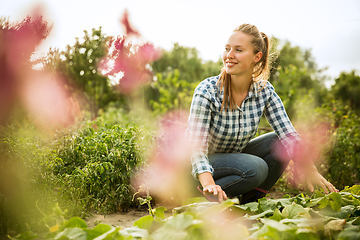 Image showing Young farmer working at his garden in sunny day