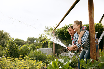 Image showing Young and happy farmer\'s couple at their garden in sunny day