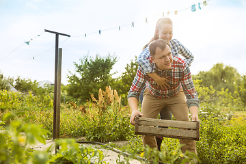 Image showing Young and happy farmer\'s couple at their garden in sunny day