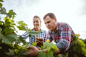 Image showing Young and happy farmer\'s couple at their garden in sunny day