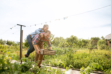 Image showing Young and happy farmer\'s couple at their garden in sunny day