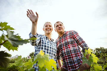 Image showing Young and happy farmer\'s couple at their garden in sunny day