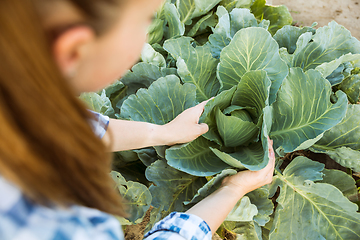 Image showing Young farmer working at his garden in sunny day