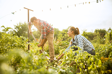 Image showing Young and happy farmer\'s couple at their garden in sunny day