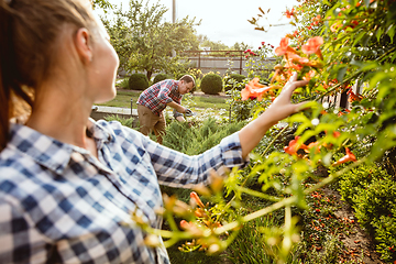 Image showing Young and happy farmer\'s couple at their garden in sunny day