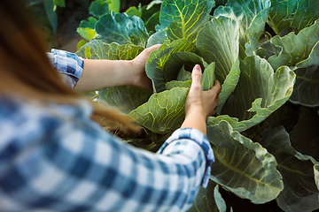 Image showing Young farmer working at his garden in sunny day