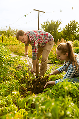 Image showing Young and happy farmer\'s couple at their garden in sunny day