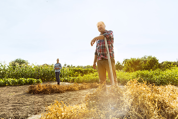 Image showing Young and happy farmer\'s couple at their garden in sunny day