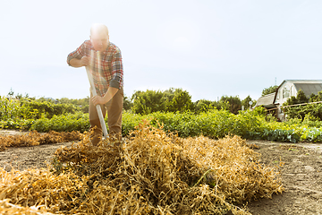 Image showing Young farmer working at his garden in sunny day