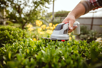 Image showing Young farmer working at his garden in sunny day