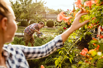 Image showing Young and happy farmer\'s couple at their garden in sunny day