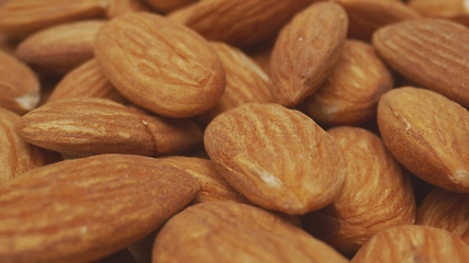 Image showing Almond macro footage with camera motion