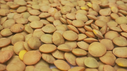 Image showing Lentils macro footage with camera motion