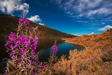 Image showing Lake in the Altai Mountains