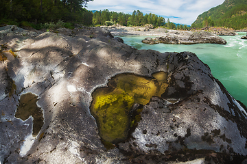 Image showing Nature baths on the Katun river