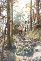 Image showing Active sporty woman listening to the music while running in autumn fall forest. Female runner training outdoor. Healthy lifestyle image of young caucasian woman jogging outside