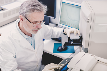 Image showing Life scientist researching in the laboratory.