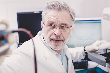 Image showing Life scientist researching in the laboratory.