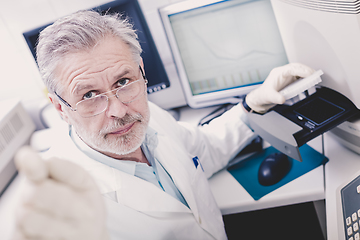 Image showing Life scientist researching in the laboratory.