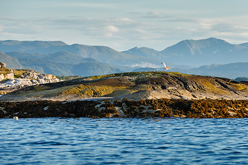 Image showing Beautiful view on norwegian fjords