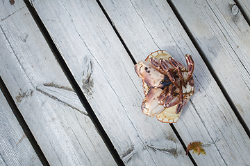 Image showing alive crab lying upside down