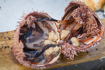 Image showing sea urchin cut in half