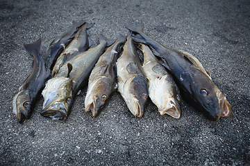 Image showing fresh Norwegian fish