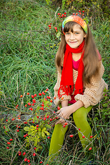 Image showing Girl in autumn clothes with a rosehip bush in her hands on a background of green grass