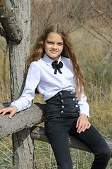 Image showing Portrait of a beautiful girl of ten years old, in the Gothic style, sitting on a wooden fence