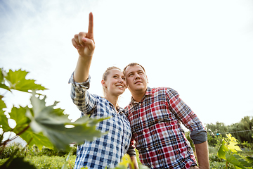 Image showing Young and happy farmer\'s couple at their garden in sunny day