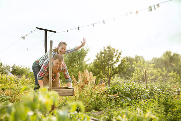 Image showing Young and happy farmer\'s couple at their garden in sunny day