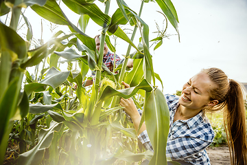 Image showing Young and happy farmer\'s couple at their garden in sunny day