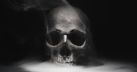 Image showing Black skull in the darkness with smoke and fog