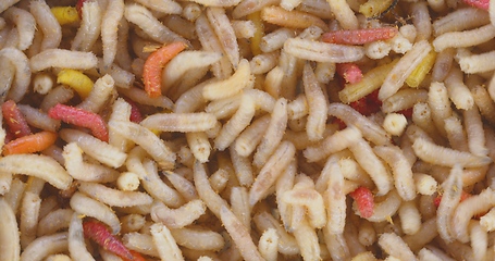 Image showing Abundance of worms as background texture closeup footage