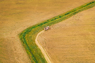 Image showing Aerial View Of Rural Landscape. Combine Harvester Working In Field, Collects Seeds. Harvesting Of Wheat In Late Summer. Agricultural Machine Collecting Golden Ripe. Bird\'s-eye Drone View