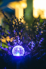 Image showing Night View Of Flowerbed Illuminated By Energy-Saving Solar Powered Colorful Multi-colored Lantern On Yard. Beautiful Small Garden With Blue Light, Lamp In Flower Bed. Garden Design